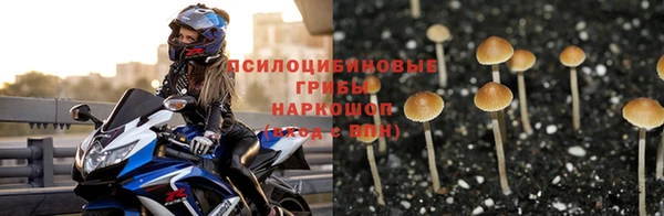 метадон Заволжск