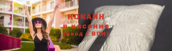 apvp Ельня
