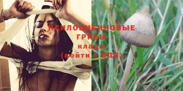 apvp Ельня