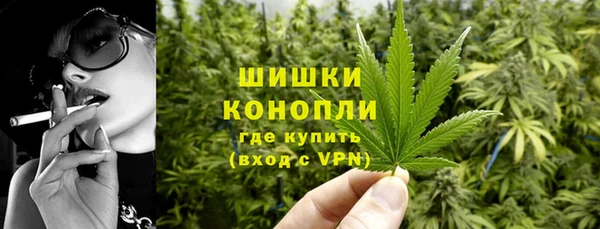 соль курить ск Заводоуковск