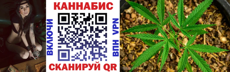 дарнет шоп Туран Бошки марихуана SATIVA & INDICA